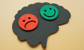 O Poder da Gestão de Emoções para a Liderança